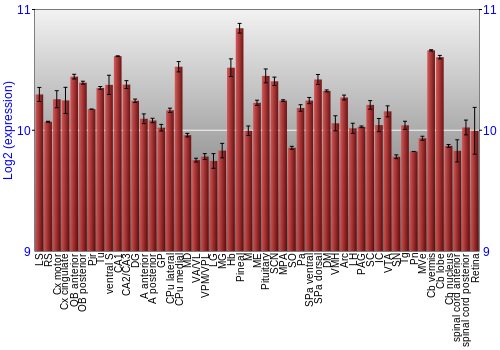 Expression graph