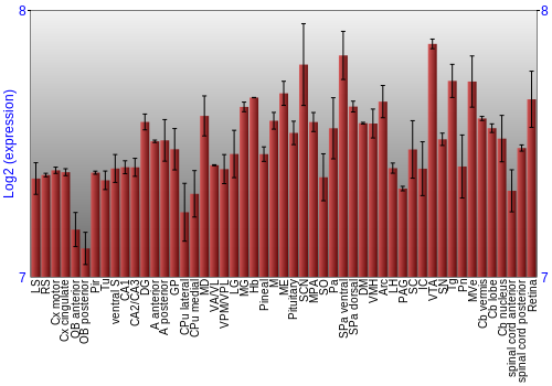 Expression graph
