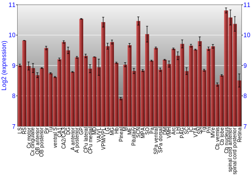 Expression graph