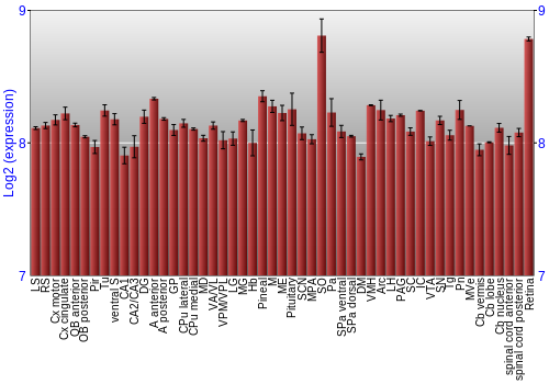 Expression graph