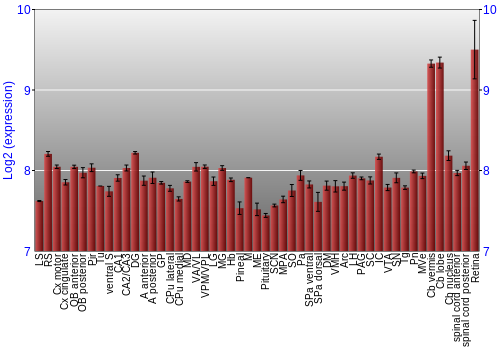 Expression graph