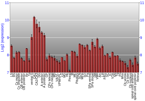 Expression graph