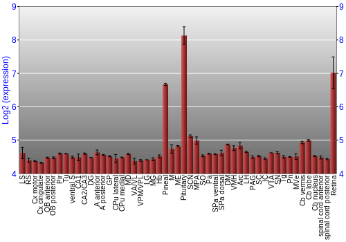 Expression graph