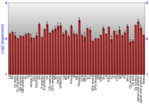 Expression graph