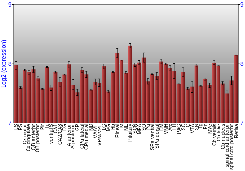 Expression graph