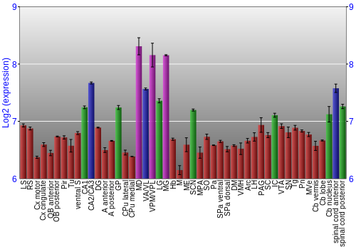 Multi-state expression graph