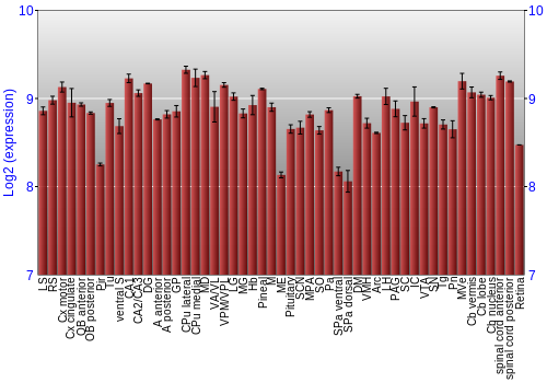 Expression graph
