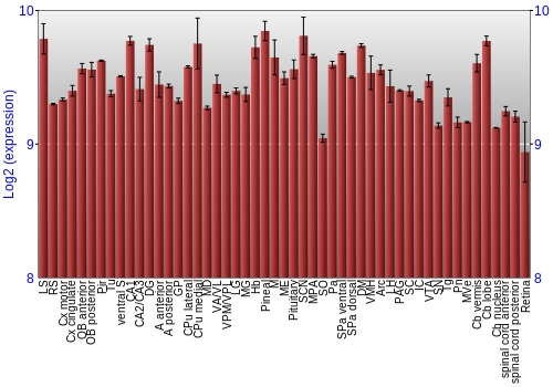 Expression graph