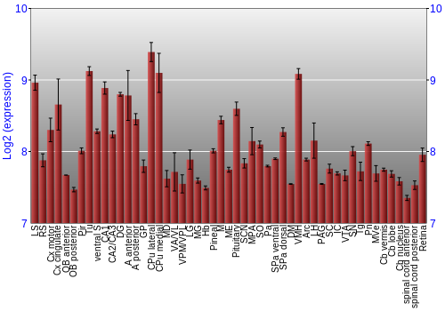 Expression graph