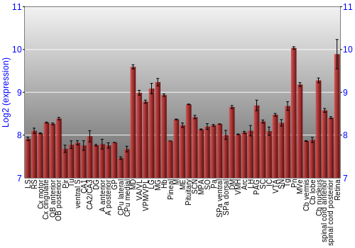 Expression graph