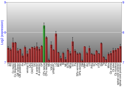 Multi-state expression graph