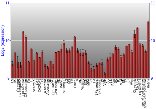 Expression graph