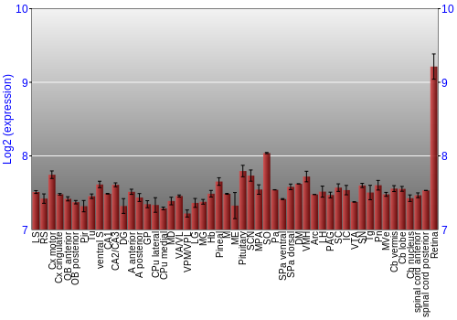 Expression graph