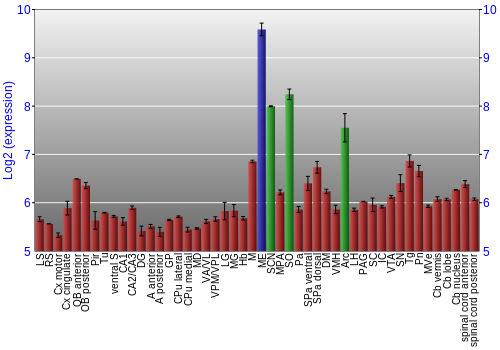 Multi-state expression graph