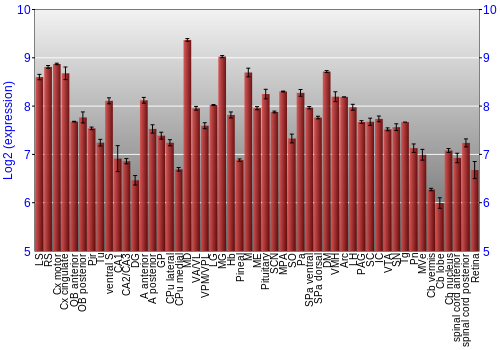 Expression graph
