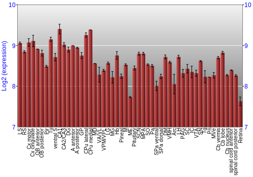 Expression graph
