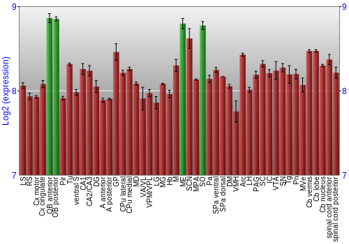 Multi-state expression graph
