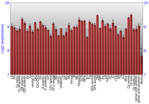 Expression graph
