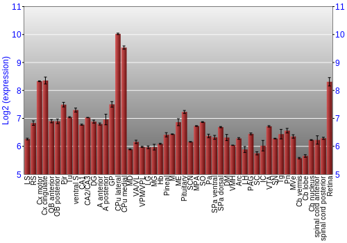 Expression graph