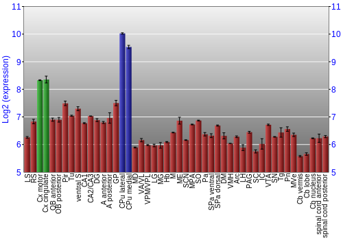 Multi-state expression graph