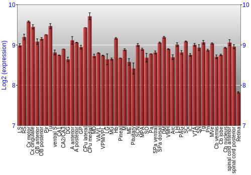 Expression graph