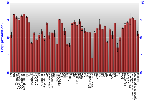 Expression graph