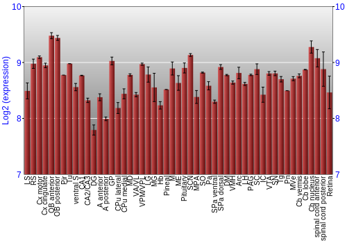 Expression graph