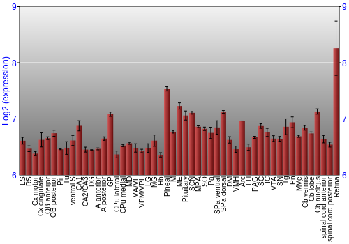 Expression graph