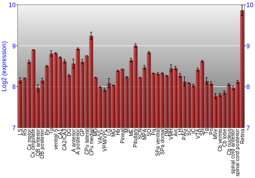 Expression graph