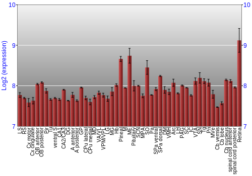 Expression graph