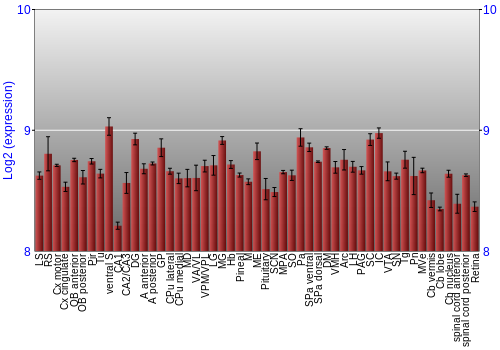 Expression graph