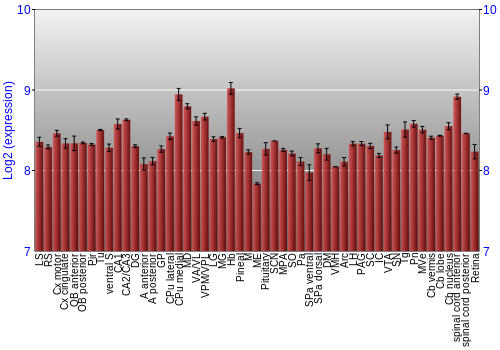 Expression graph