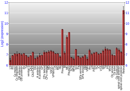 Expression graph