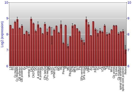Expression graph
