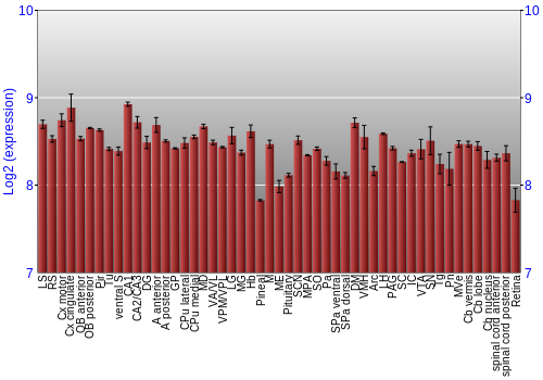 Expression graph