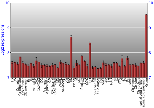 Expression graph