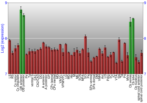 Multi-state expression graph