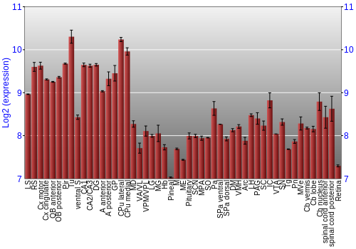 Expression graph