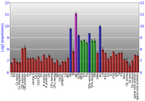 Multi-state expression graph