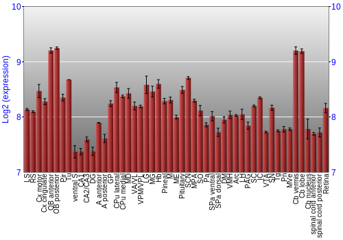 Expression graph