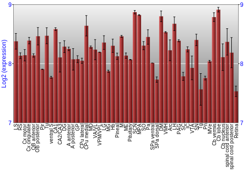 Expression graph