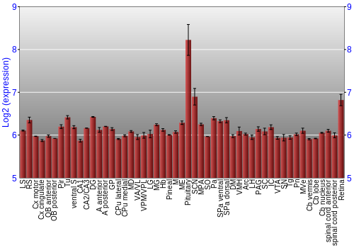 Expression graph