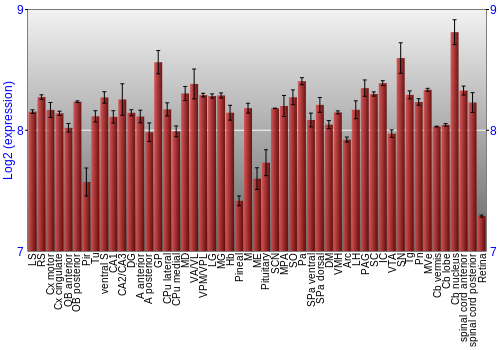 Expression graph