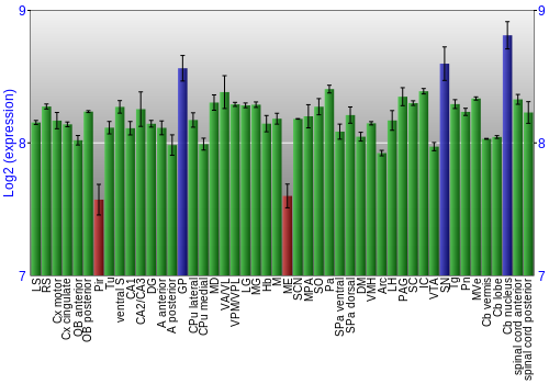 Multi-state expression graph