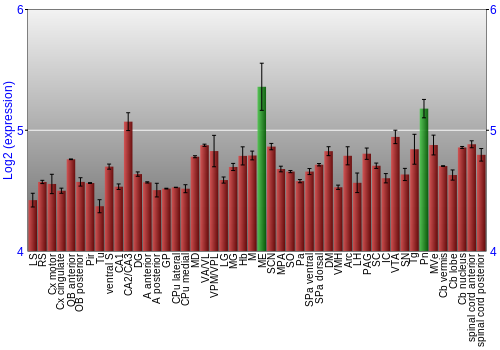 Multi-state expression graph