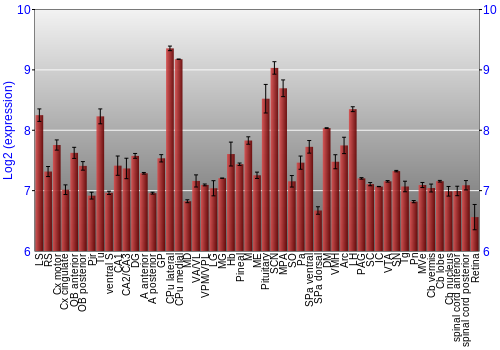 Expression graph
