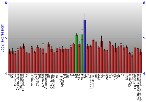 Multi-state expression graph