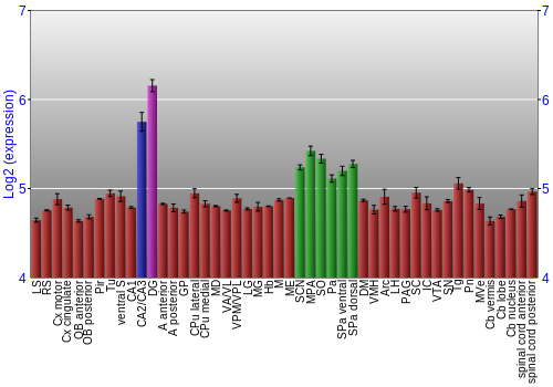 Multi-state expression graph