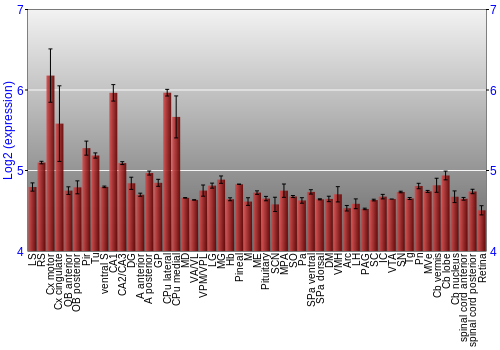 Expression graph