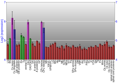 Multi-state expression graph